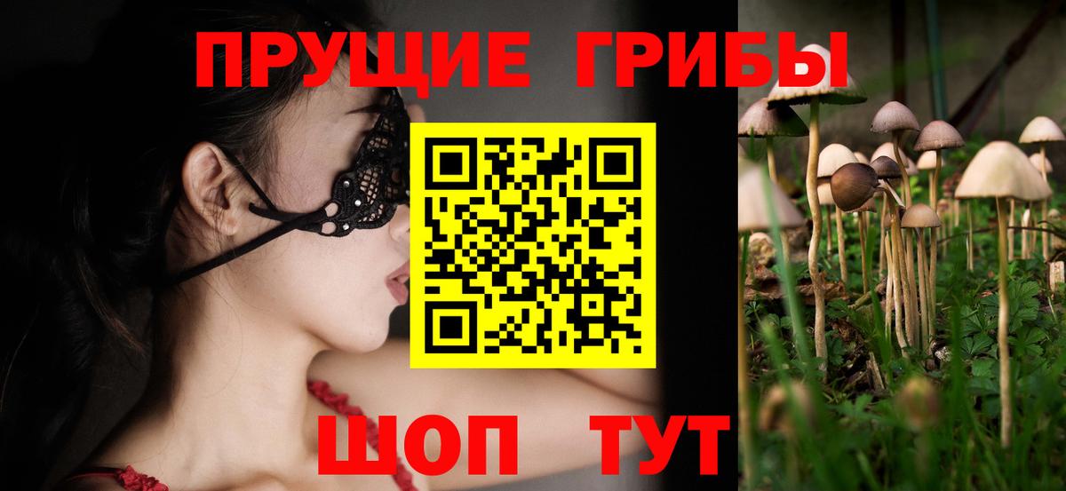 Южноуральск  Псилоцибиновые грибы Cubensis  Вход с VPN 